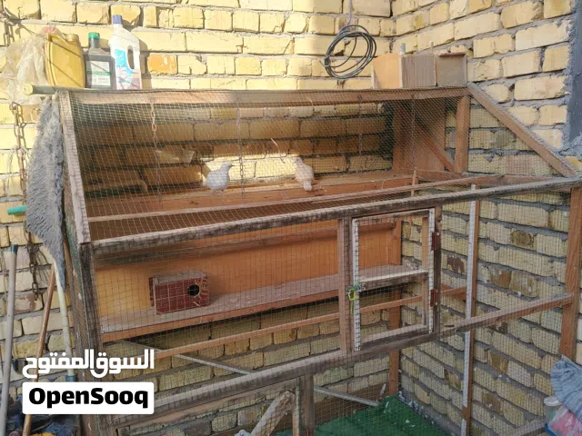 قفص جبير حلو للبيع