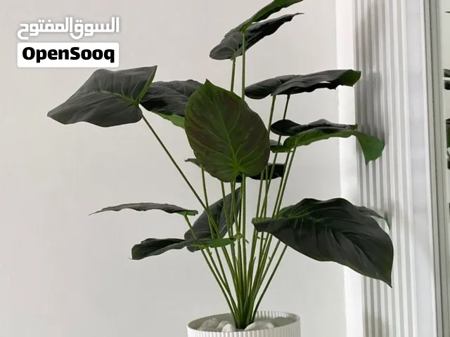 قوارة صناعيه حجم متوسط الوزن ثقيلة بتزّين دارك باقل سعر وما بتحتاج لعناية دائمة اطلبها الان
