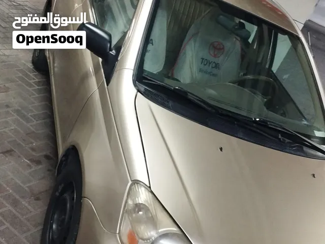 تويوتا إيكو