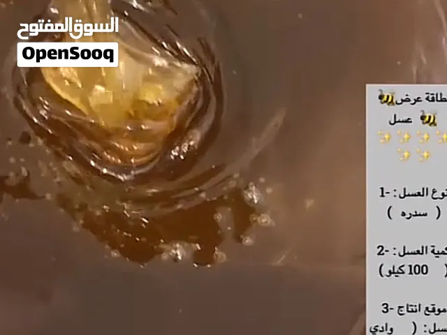 مناحل موسى علي موكلي