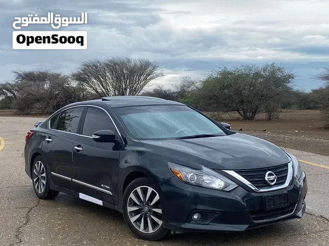 نسيان التيما sl17