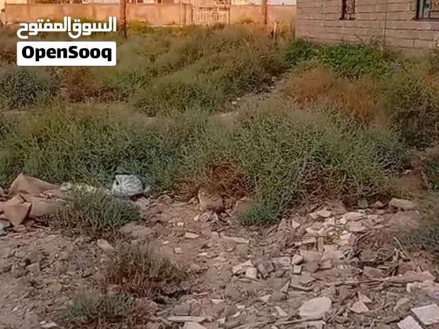 قطعه ارض ب الجزيره شارع زين العابدين زراعيه اصوليه
