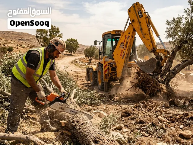 نشتري أشجار الزيتون وبأسعار مناسبه