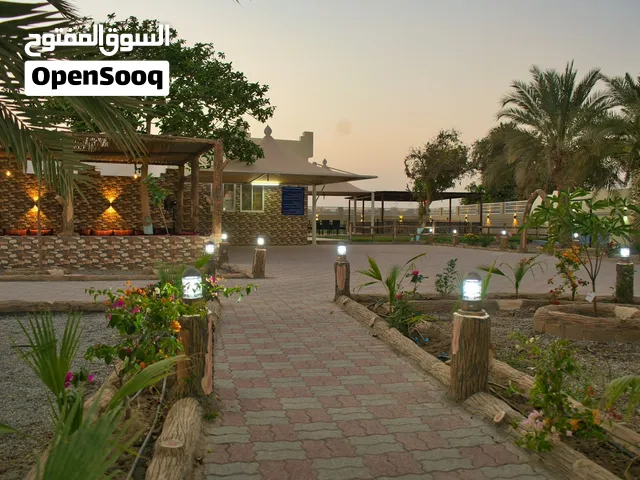 استراحة إيلاف الملدة حوضين سباحة وملعب طبيعي وتسب فقط ELAF RESORT