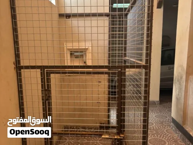 للبيع فقص يصلح للكلاب قطط طيور