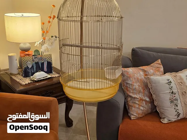 قفص طيور ذهبي ملكي بلمسة عصرية – لمدللكم الخاص