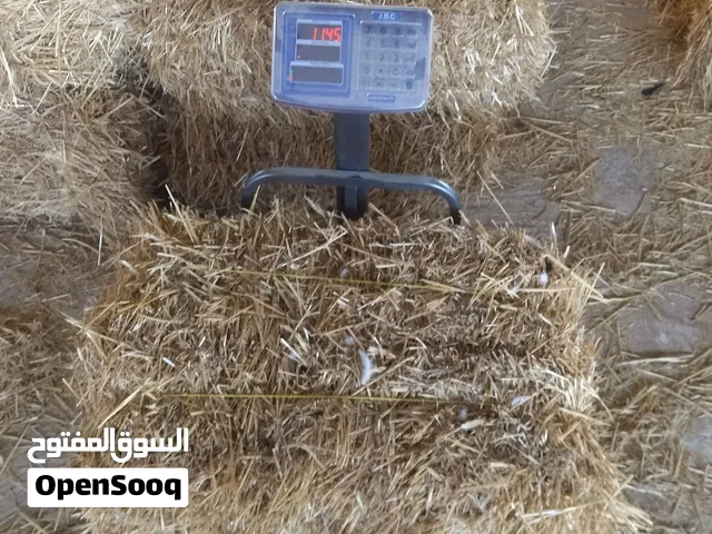 بالات قش بلدي