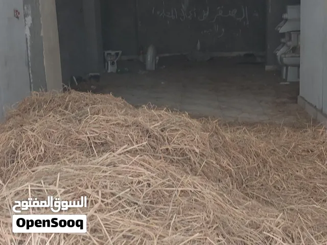 مخزن دور ارضي للايجار