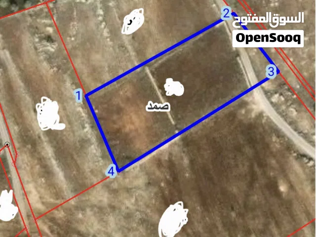 Farm Land for Sale in Irbid Other