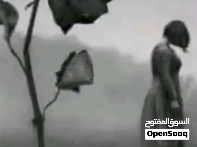 تعليم العزف السماعي  والغناء على  العود ... وتاليف الأغاني وتلحينها