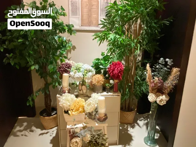 Decorations plants