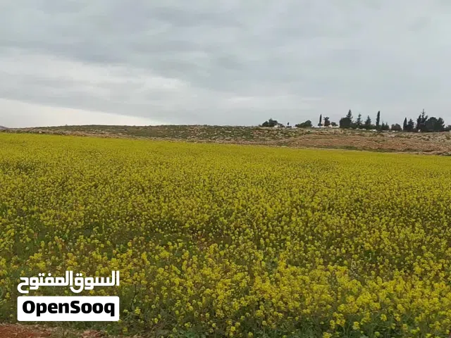 رقم مميز جدا جدا