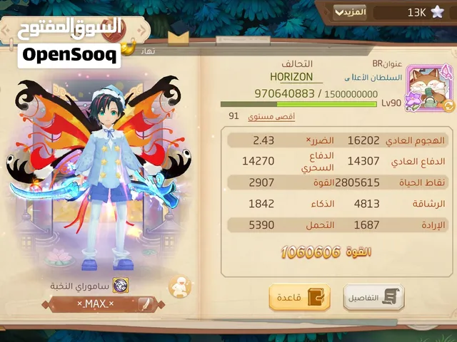 حساب ارض الشجعان للبيع سلطان