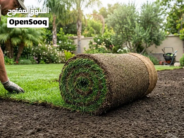 بيع معشب طبيعي وتنسيق حدايق