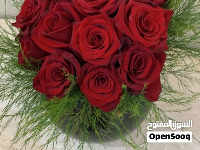 وفيه قسيمه كامله عائلات او من الفلبين مشتركه