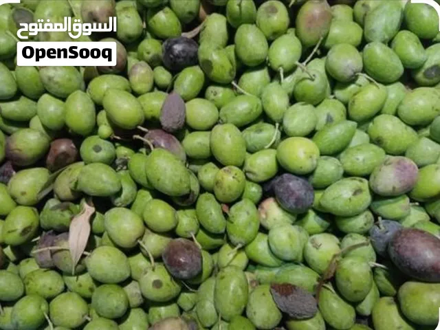 نشتري زيتون حب كيلو ع بنص دينار
