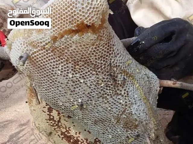 عسل طبيعي بدون تدخل بشري