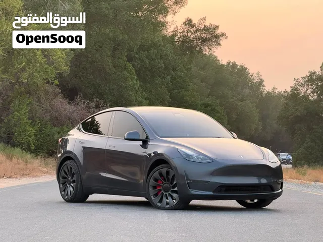 TESLA MODEL Y ( Long Range ) 2023 GCC