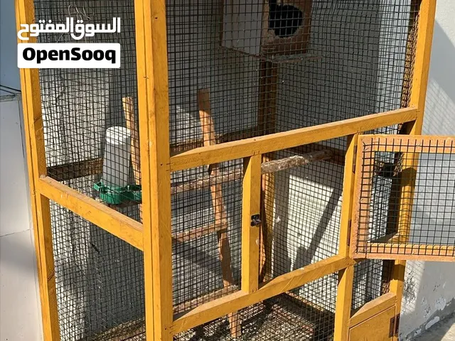 للبيع قفص ومنازل للطيور الوصف مهم