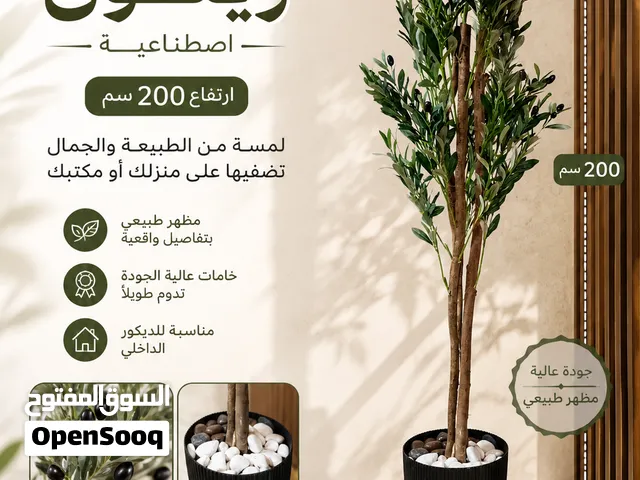 شجر الزيتون الصناعي بدك تضيف لمسة جمال وفخامة لبيتك؟ عرض مميز على الشجر الصناعي مظهر طبيعي