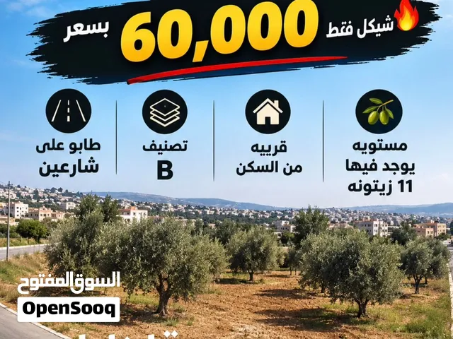 Farm Land for Sale in Nablus Burqa