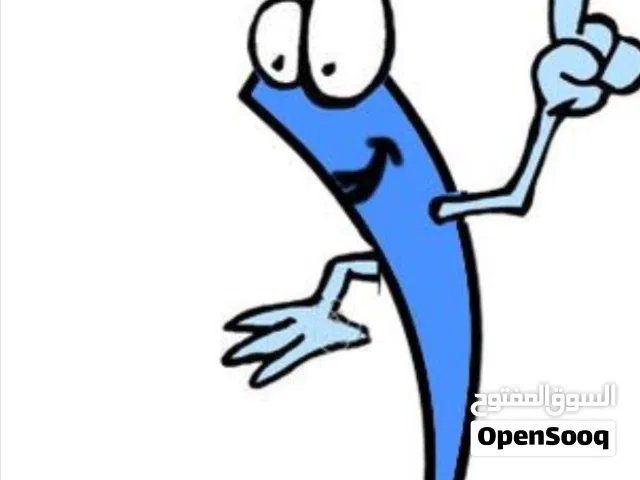 تأسيس لغة انجليزية ورياضيات  خبرة 10 أعوام