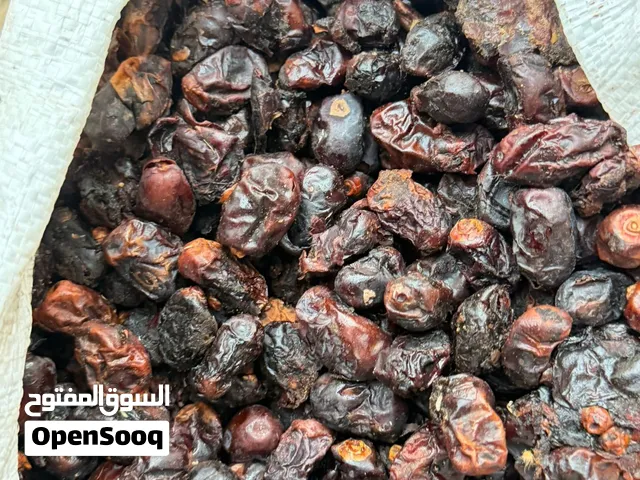البيع نفيعه ام سلي