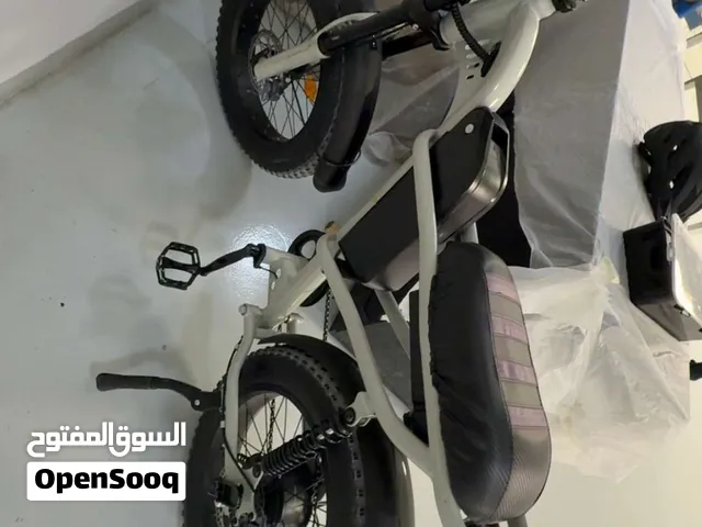 Eveons Bluebee III Electric Fat Bike