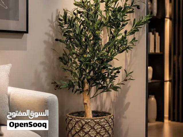 شجرة الزيتون بغصن طبيعي واوراق صناعيه