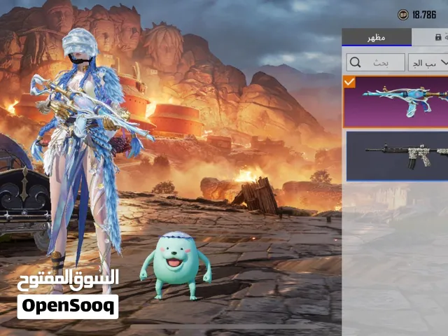 Pubg Accounts and Characters for Sale in Al Ain