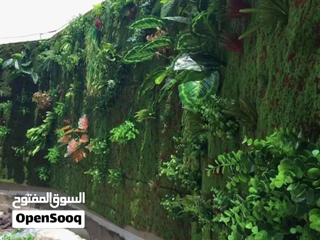 تنسيق حدائق