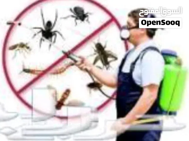 البركه لرش المبيدات الحشريه خبرة 30 عاما رواد المكافحه الامنه للافات والحشرات