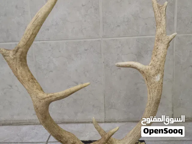 تحفه لتزيين المجالس والمنازل