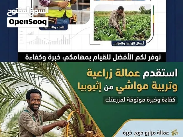 نوفر لكم عماله ل كافه التخصصات مدربين ومأهلين