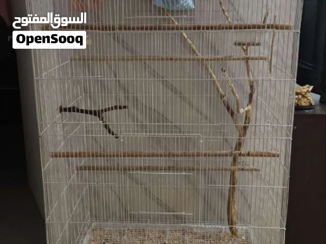 قفص كبير  big cage