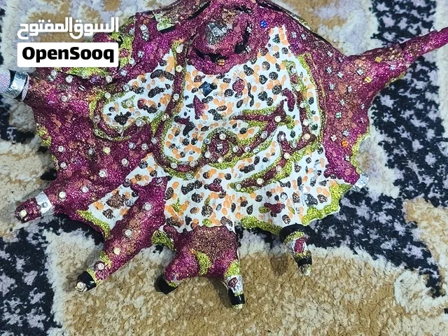 أشكل الجم في البيت