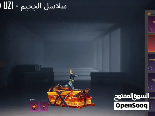 Pubg Accounts and Characters for Sale in Dubai