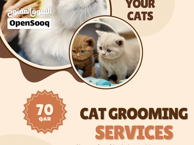 Pet grooming service