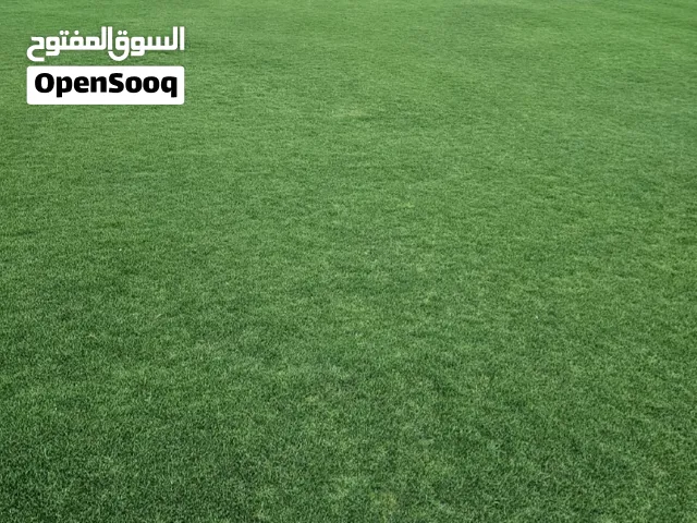 معشب طبيعي بلس بيلم امريكي