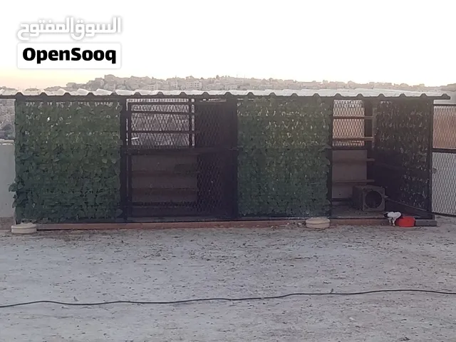 خشة و حضران للبيع بحالة الوكالة