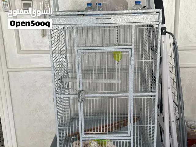 قفص الطيور