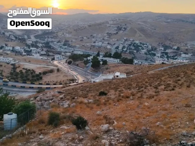 ارض للبيع في بيرين