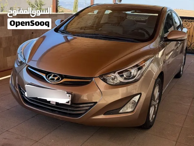 Used Hyundai Elantra in Salt