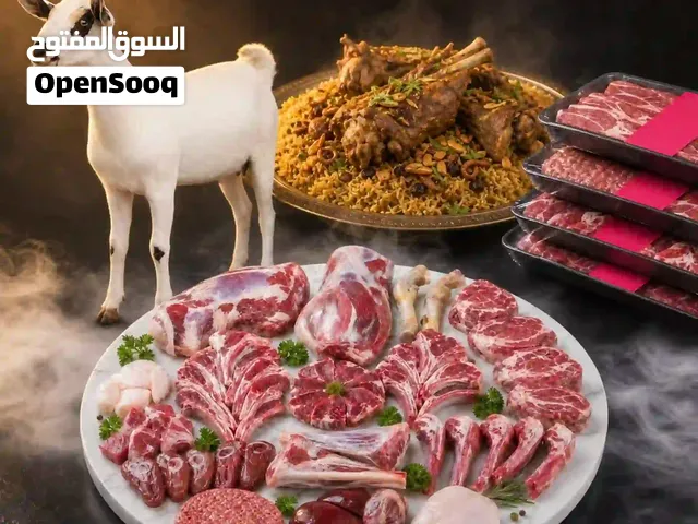 مطلوب شريك ممول