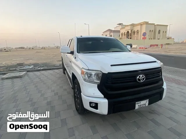 تندرا باب ونص