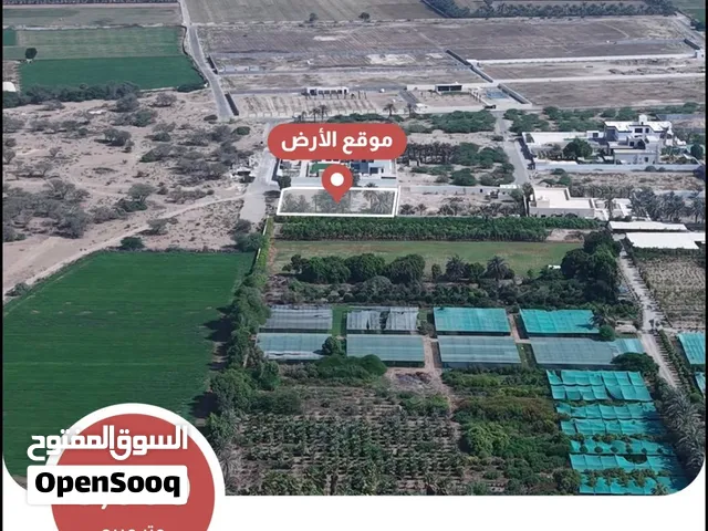 للبيع أرض زراعية كورنر في ولاية بركاء العقدة جنوب قرب الشارع العام جميع الخدمات متوفرة