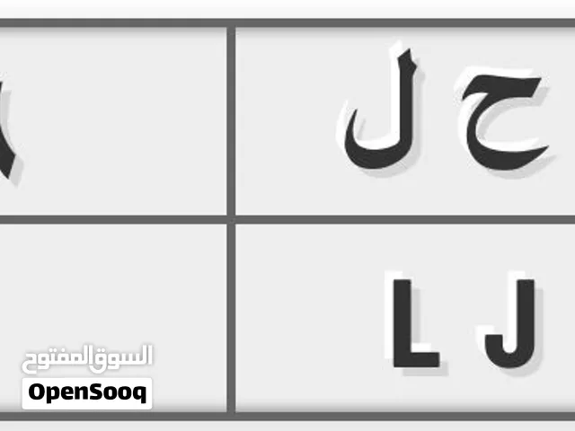 لوحة خصوصي ( ب ح ل 16 )