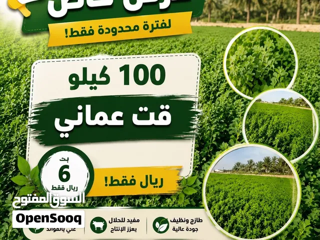 يتوفر قت عماني طازج نظيف على طلب وبسعر ممتاز جداً
