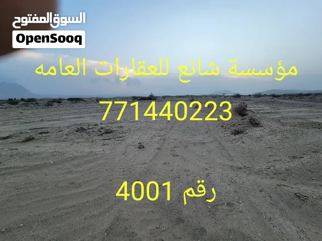 اعلان رقم 4001 للبيع اراضي زراعيه سعرالحبله700سعودي ومن500سعودي والماء بلمنطقه بحرعلى100متر