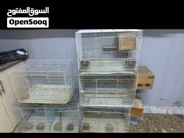للبيع 5 أقفاص انضاف مع الميدان مع جميع الملحقات